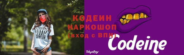 гашик Богородицк